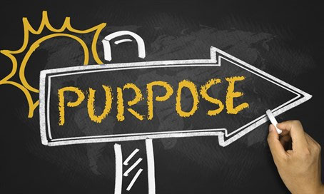 Our Purpose